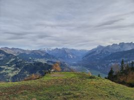 Ein einladendes Plätzchen