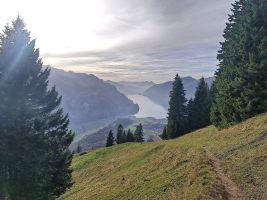 Doch noch ein allerletzter Blick zurück zum Startpunkt