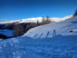 IMG_20230107_093715_DRO