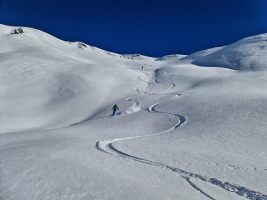 IMG_20230107_134458_DRO