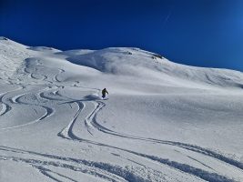 IMG_20230107_134603_DRO