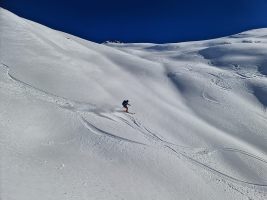 IMG_20230107_134735_DRO