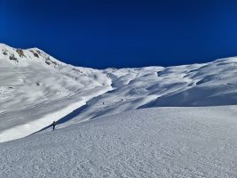 IMG_20230107_135432_DRO