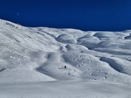 So etwas wie Pulverschnee inmitten eines Meers von Windharsch