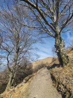 Das Tor zur freien Sicht