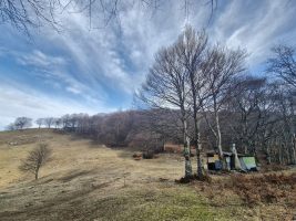 Gandalf war gerade nicht da.