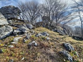 Ein schöner Spielplatz!