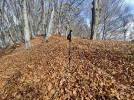 Knietiefe, aber leichte Spurarbeit