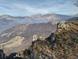Wer guckt hier blöd?!
