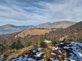 Ein sonniggoldener Flecken