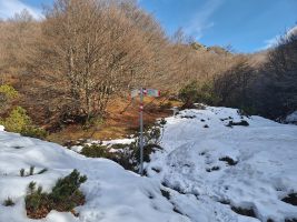 Dem Bach nach Osten folgen