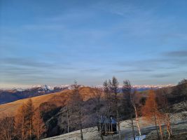 Sonniges Erwachen