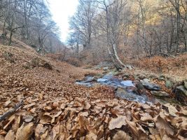 Haufenweise Schneeersatz