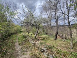 Frühling in den Tälern der Pyrenäen