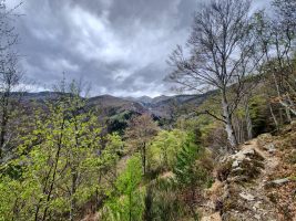 Einsamer Aufstieg durch endlose Wälder