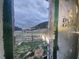 Manchmal glaubt man dran!