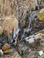 Die Nacht war eiskalt