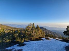 Die Waldgrenze liegt in den Pyrenäen höher als in den Alpen