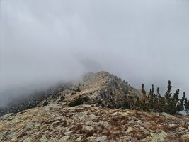 Liebliche Gratlandschaft im Nebel