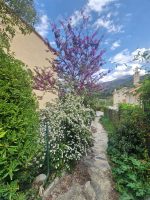 Arrivée heureuse à Amélie-les-Bains