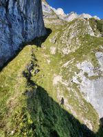 Wanderers Schatten vor grasigem Hintergrund