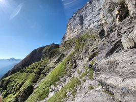 Den blauen Markierungen nach leicht ansteigend nach links