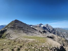 Lauschiger Anfang des Pfads