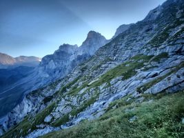 Rot Gitschen vor dem Abendlicht