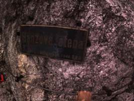 Hier zweigt Hanslis Weg unvermittelt aus der Rinne ab