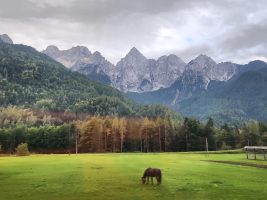 Erster Blick auf die Julischen Kalkberge