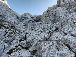 Immer perfekt markiert