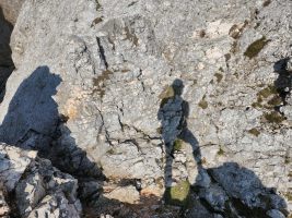 Selbstportrait im Abendlicht