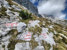 Überall diese OKNO-Typen!