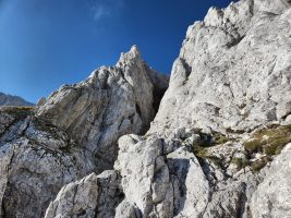 Dem Schlitz entronnen