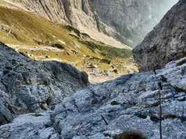 Überraschung voraus!