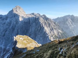 Bitte nicht stören, die Könige halten Zwiegespräch!