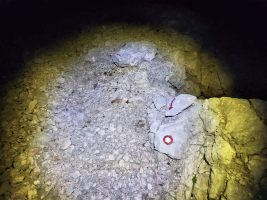 Letzte Markierung für eine Weile