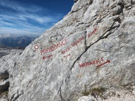 Früher gab es Wandzeitungen