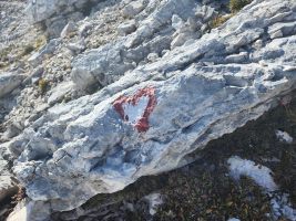 Sympathische Markierung