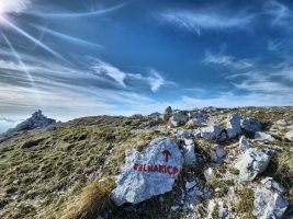 Da wollte jemand den Farbkübel nicht mehr heruntertragen.