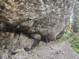 Mit letzter Kraft ...