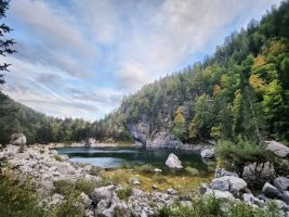 Dahinter geht es steil den Wald hoch