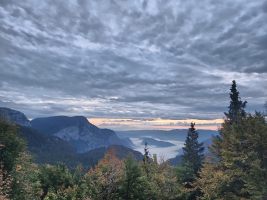 Nebel über dem Bohinjska-See