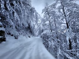 Ein vielversprechender Auftakt!