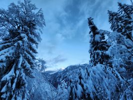 Im Zauberwald von Väterchen Frost und Mütterchen Holle