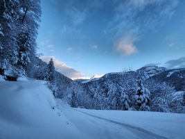 Einsame Spur durch tiefen Pulverschnee