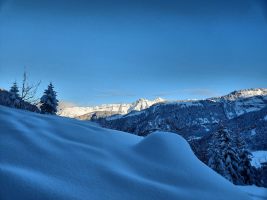 Heuberig, Druesberg und Forstberg