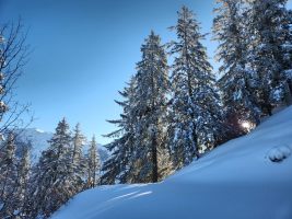 Versprengte erste Sonnenstrahlen