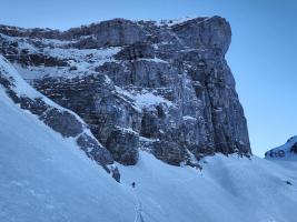 signal-2025-01-19-100259_002