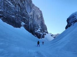 signal-2025-01-19-100259_004